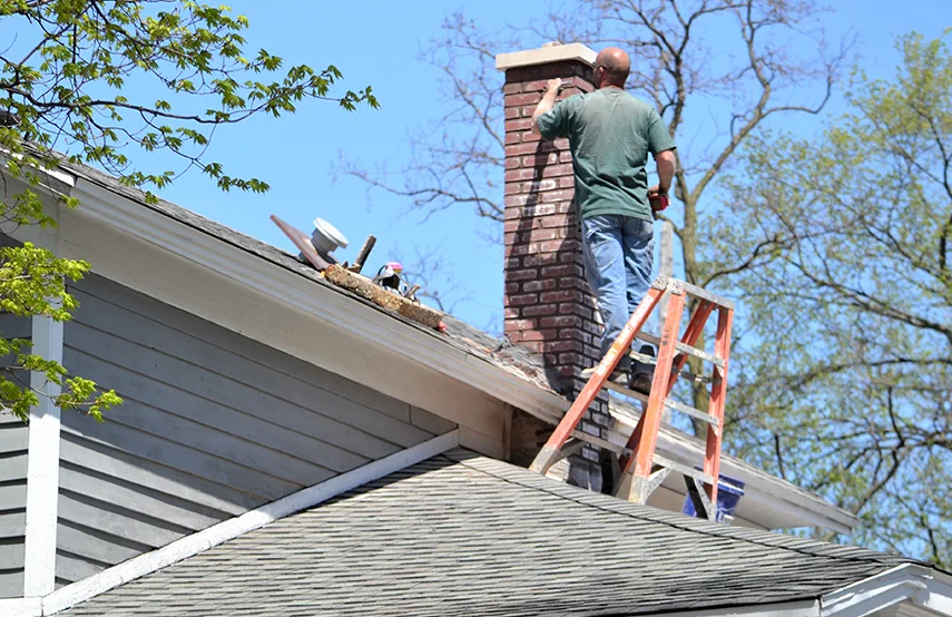 Chimney & Fireplace Inspections Services in Winter Park, FL